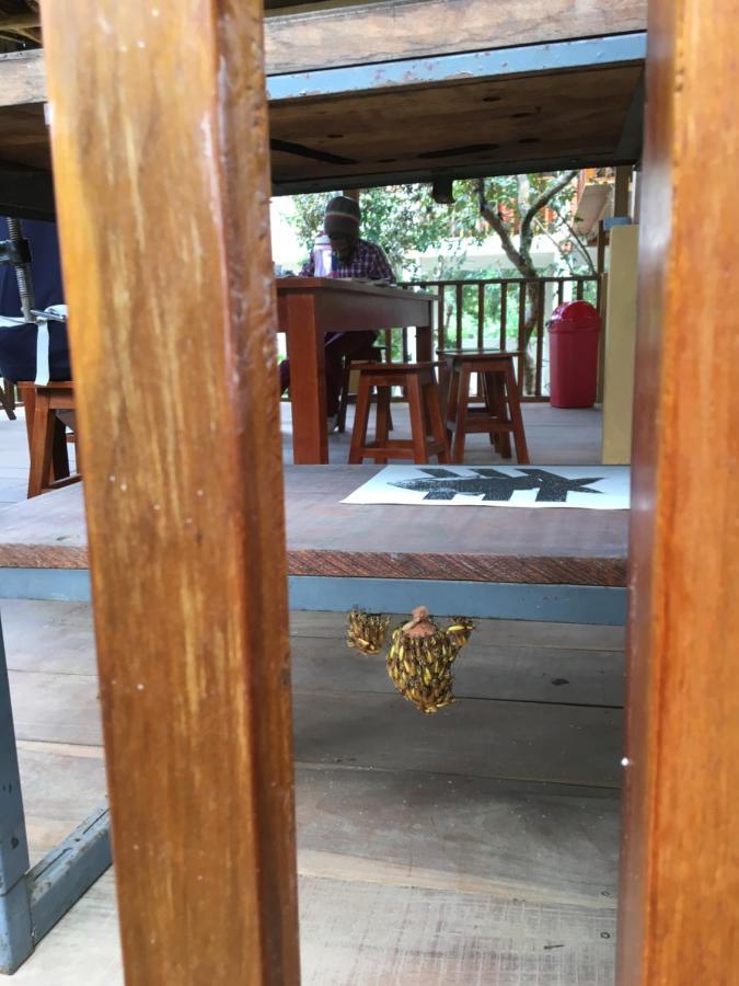 Indano Art Lodge Lamas Bagian luar foto
